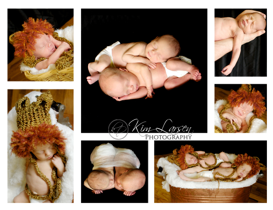 Newborn Twin Portraits ©Kim Larsen Photography