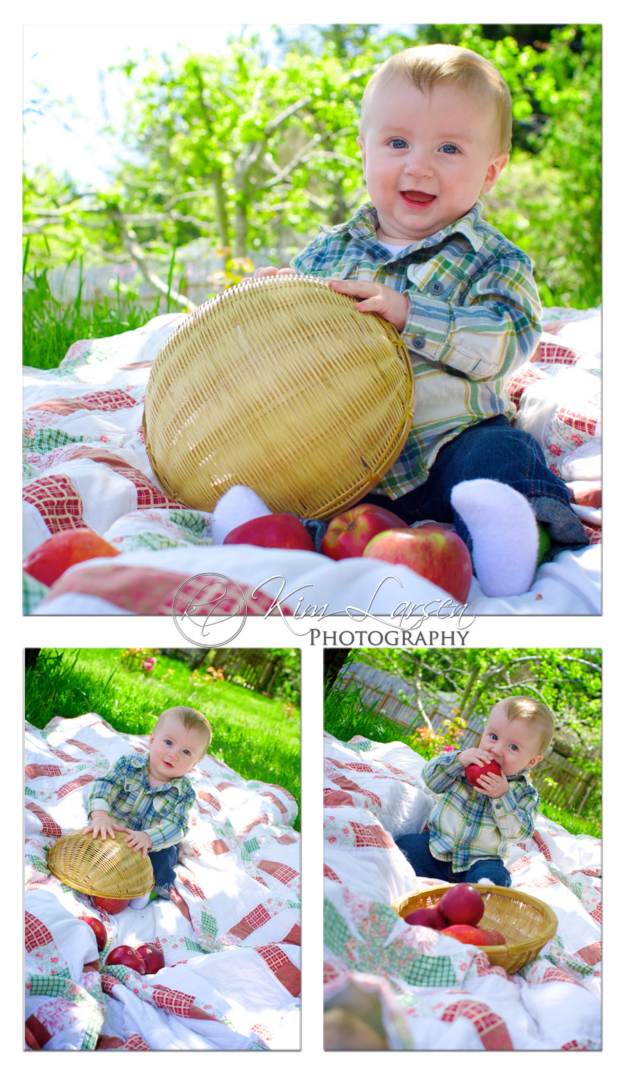 7 month outdoor baby portraits ©Kim Larsen Photography 2011